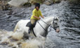 An Equestrian Interlude Ireland